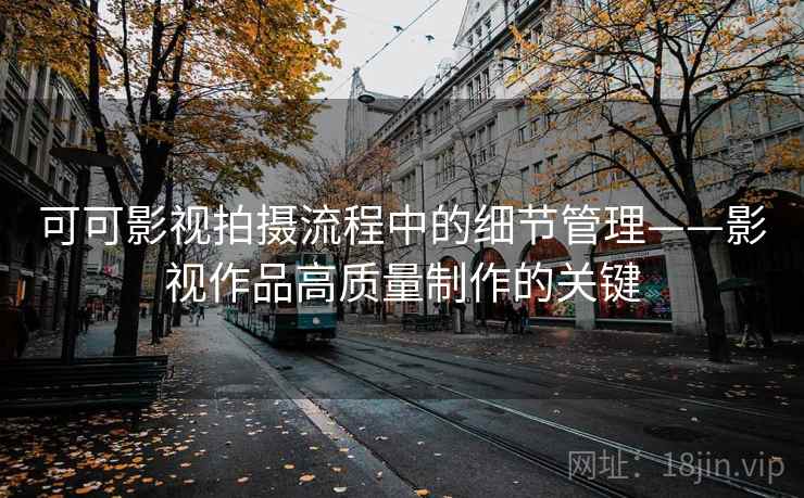 可可影视拍摄流程中的细节管理——影视作品高质量制作的关键 可可影视拍摄流程中的细节管理——影视作品高质量制作的关键