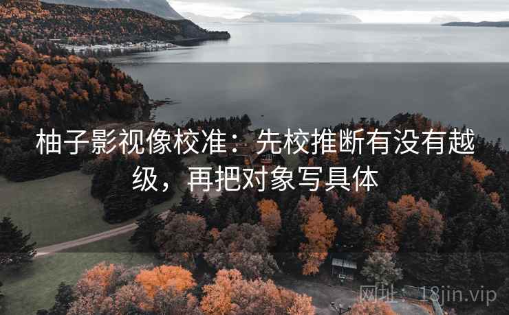 柚子影视像校准：先校推断有没有越级，再把对象写具体